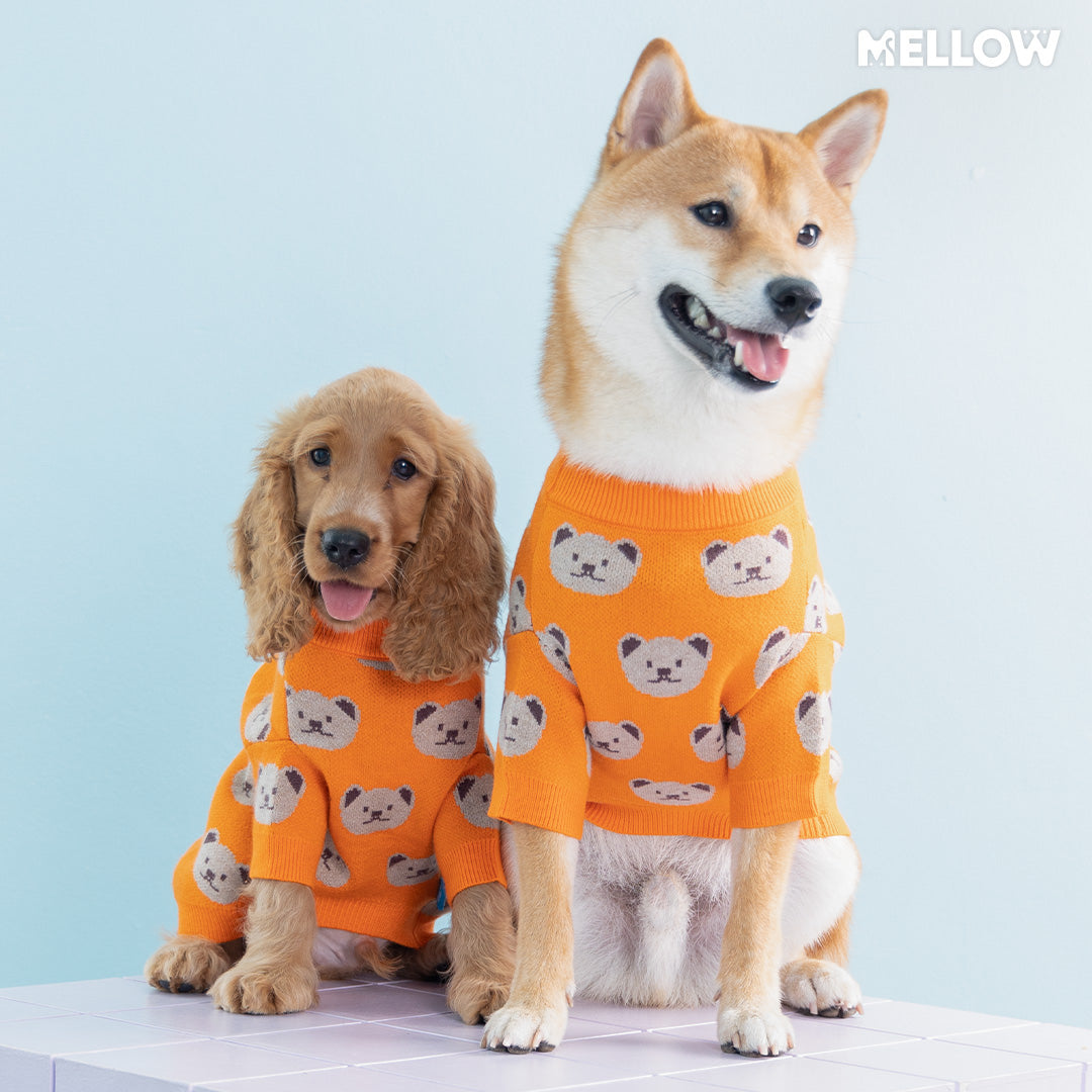 MELLOW l Orange Bear