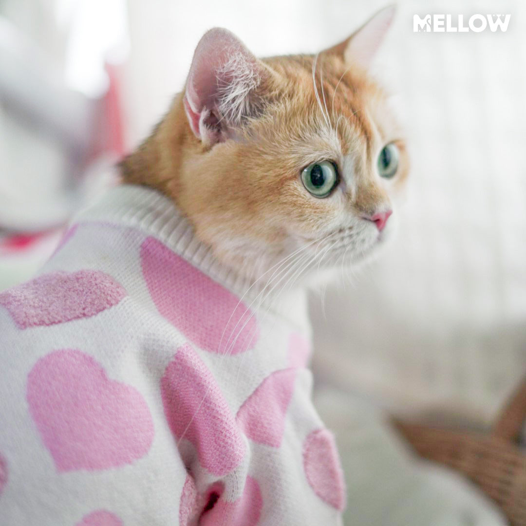 MELLOW l Pastel Heart