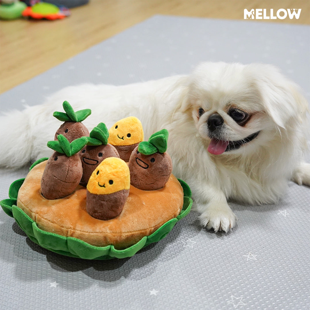 MELLOW l Sweet Potato Toy
