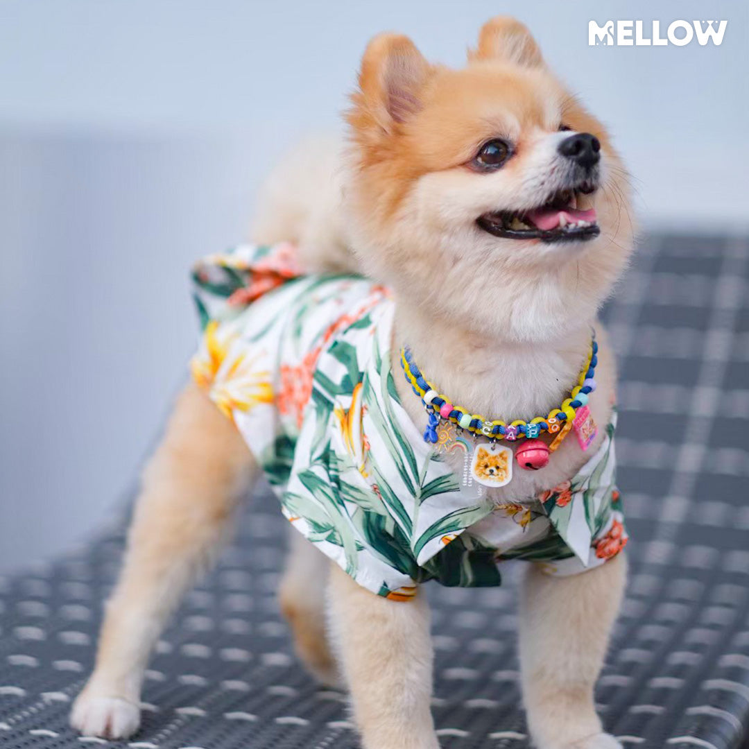 MELLOW l Summer White