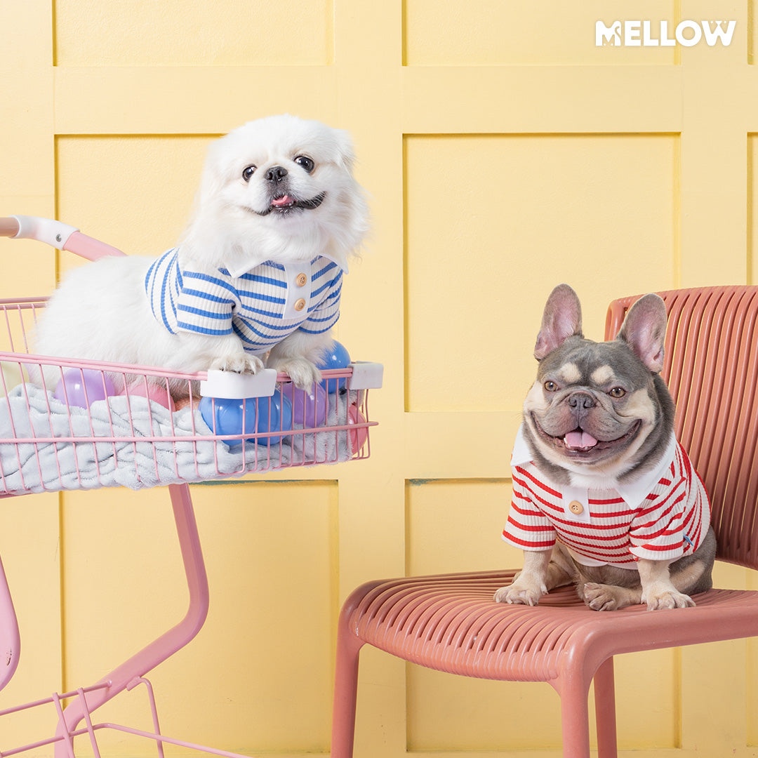 MELLOW l Cazzie Blue