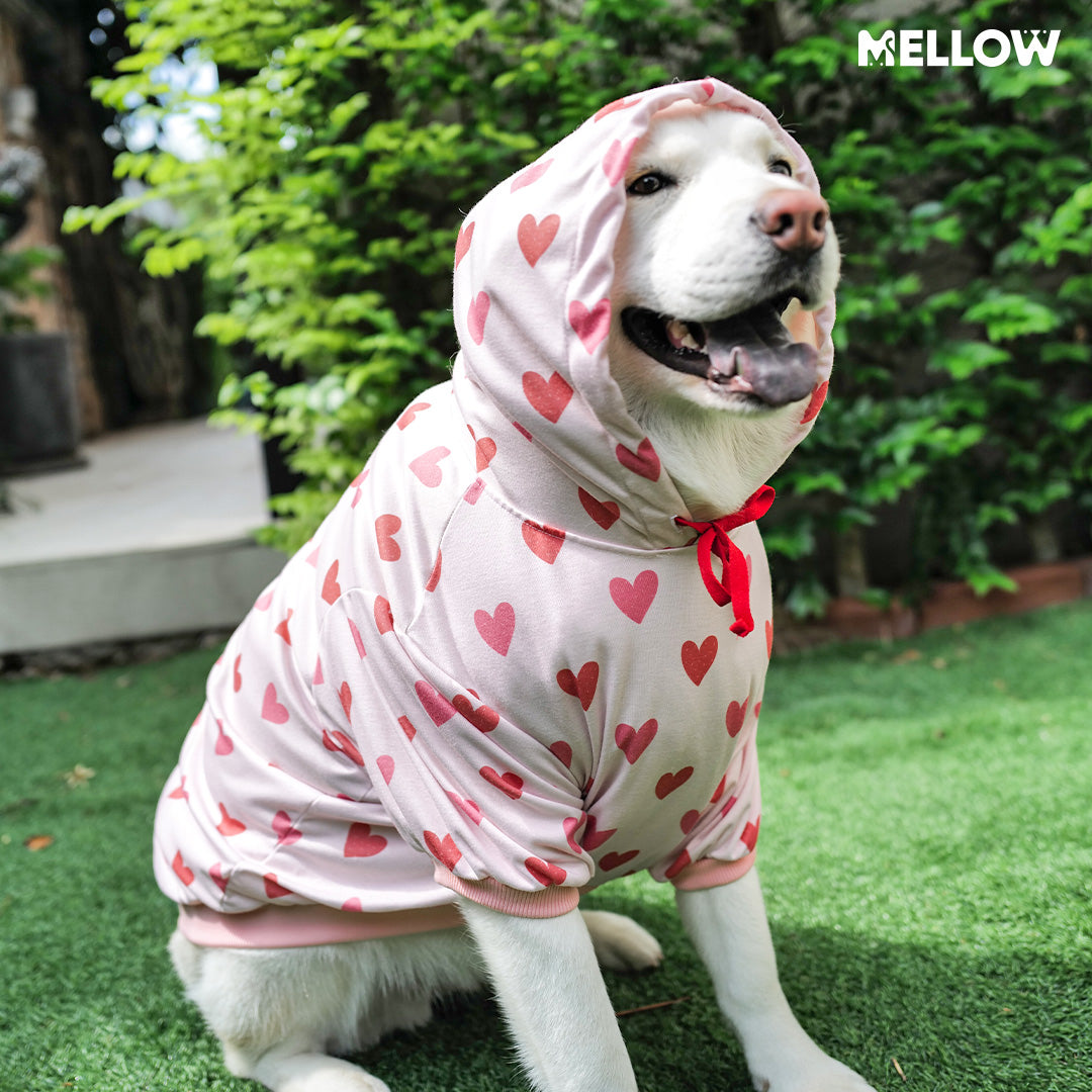 MELLOW l Love Love Hoodie