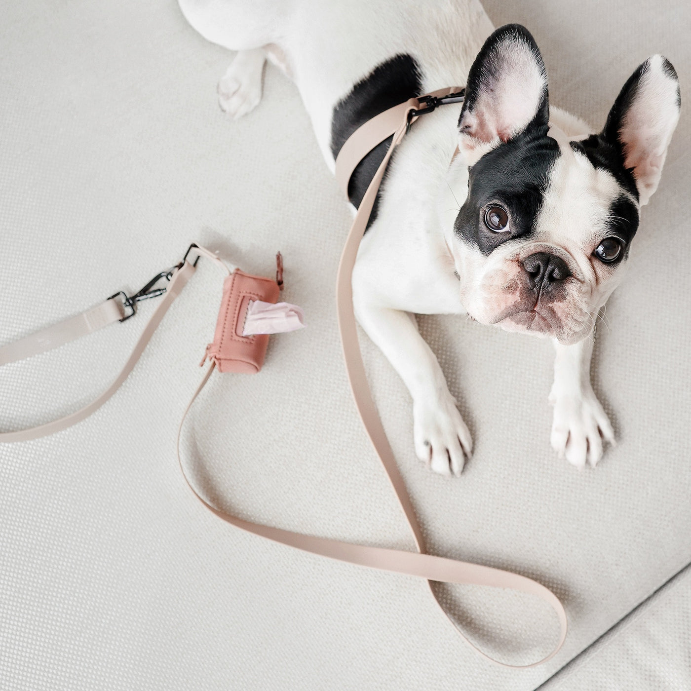 LAMBWOLF l MELLEM narrow - 2cm wide // all weather convertible leash / 6ft or 180cm max