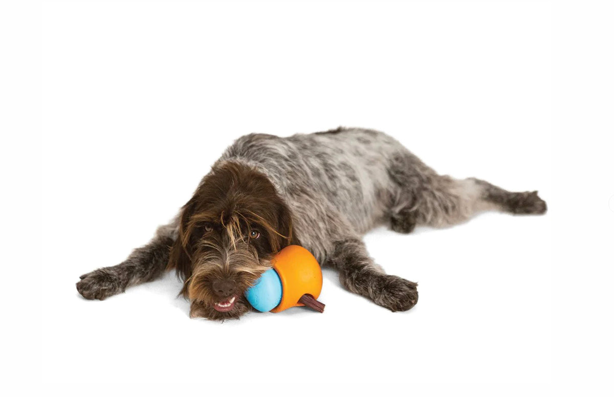 WEST PAW l Toppl Dog Treat Toy