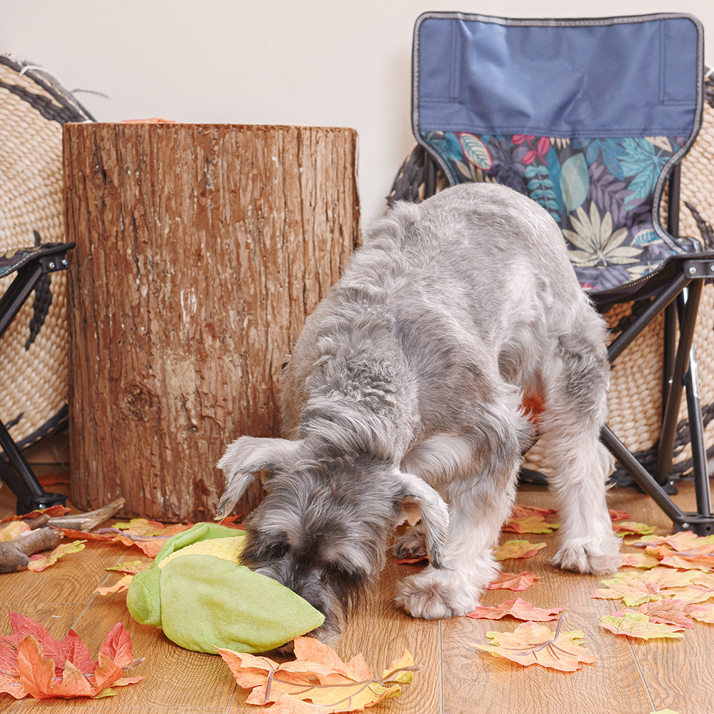 HUGSMART l Corn《Camping Pups》