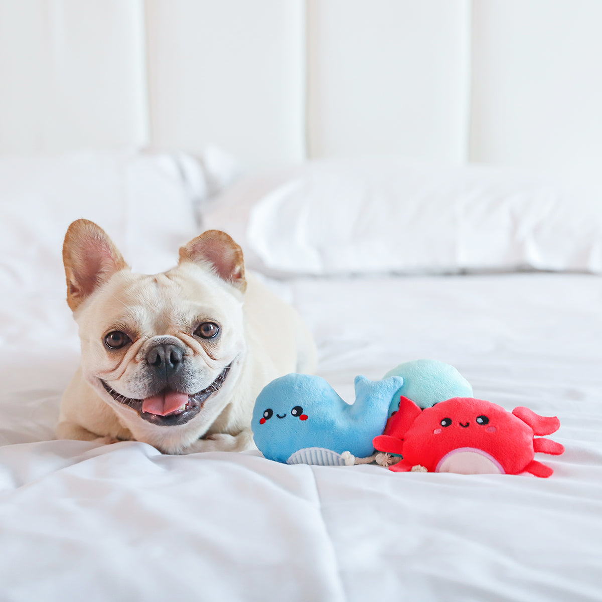 HUGSMART l Sea Creatures《Ocean Pals》/ EACH APPROX