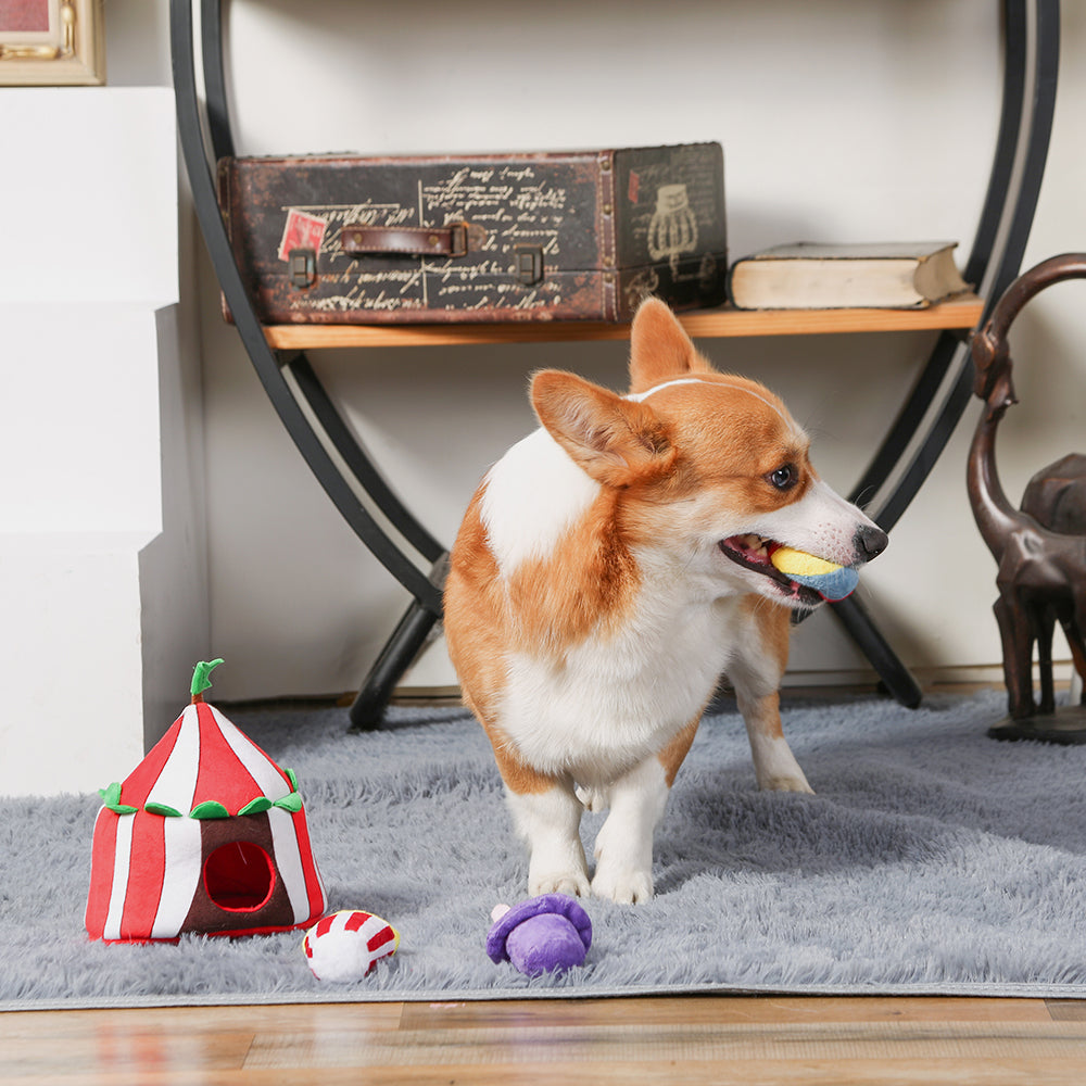 HUGSMART l Circus《Happy Circus》