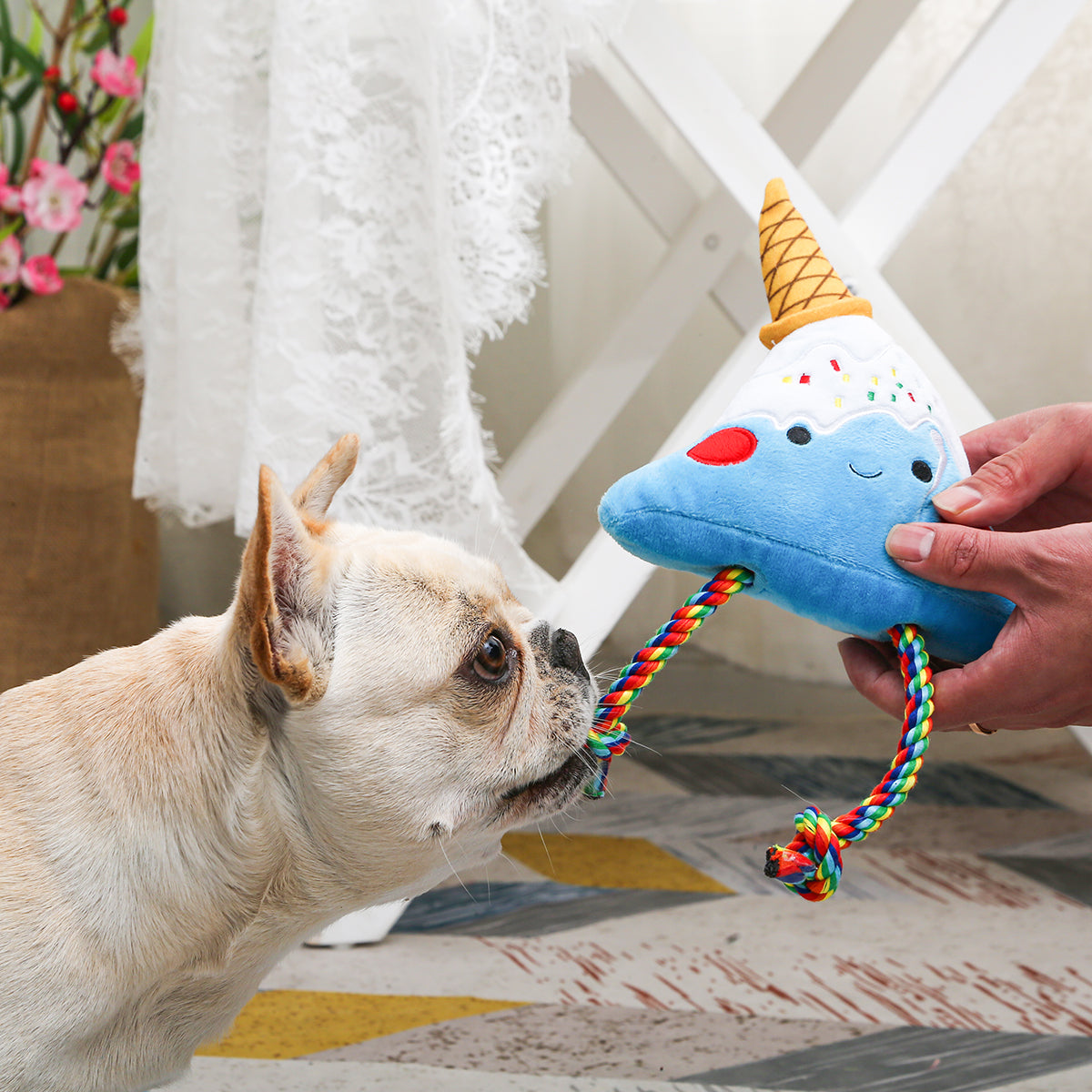 HUGSMART l Fuji Ice-cream《Foodie Japan》