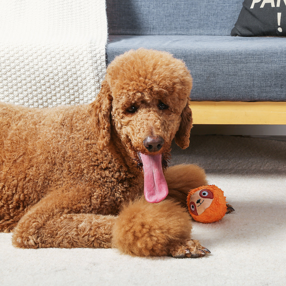 HUGSMART l Sloth《Zoo Ball》