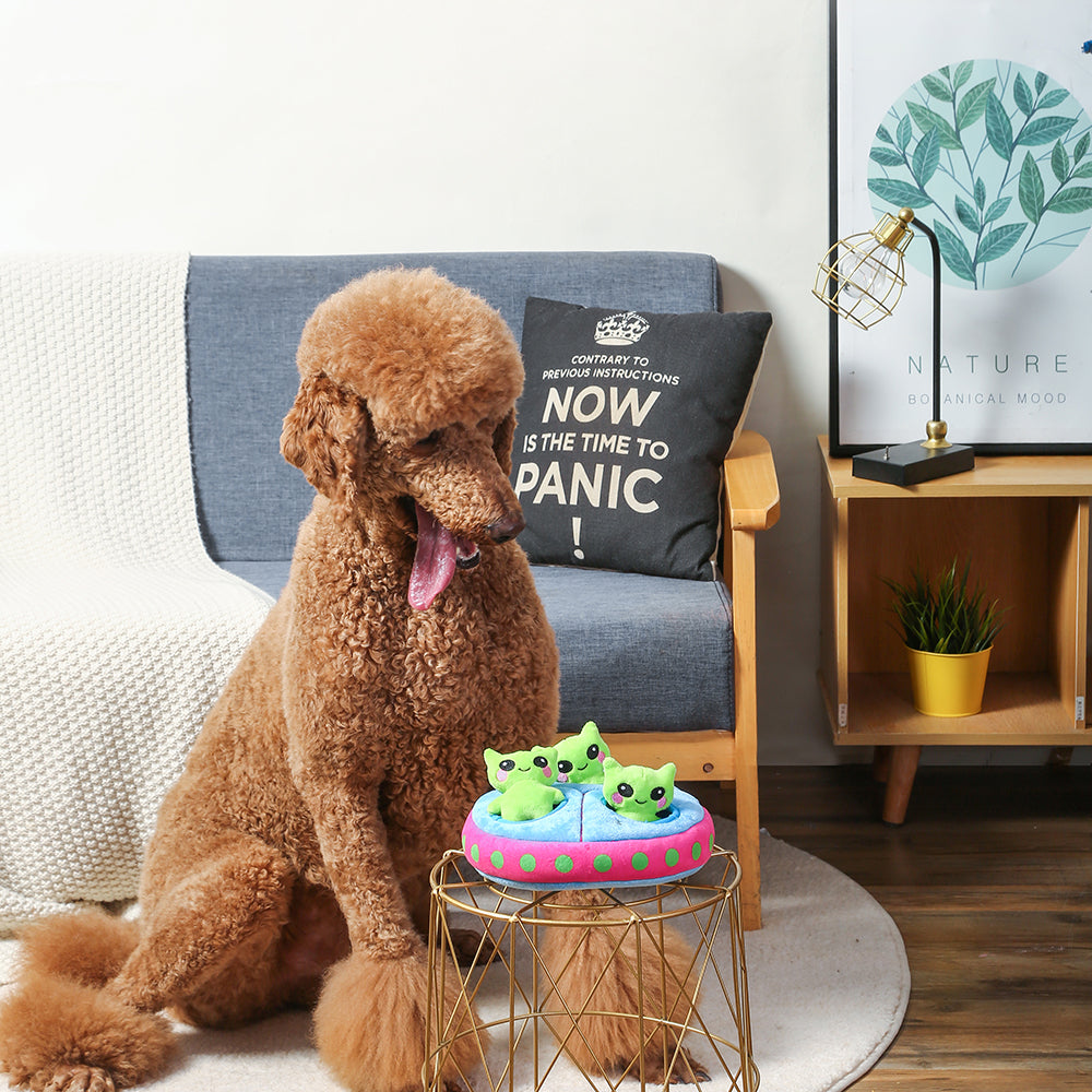 HUGSMART l Aliens《Space Paws》