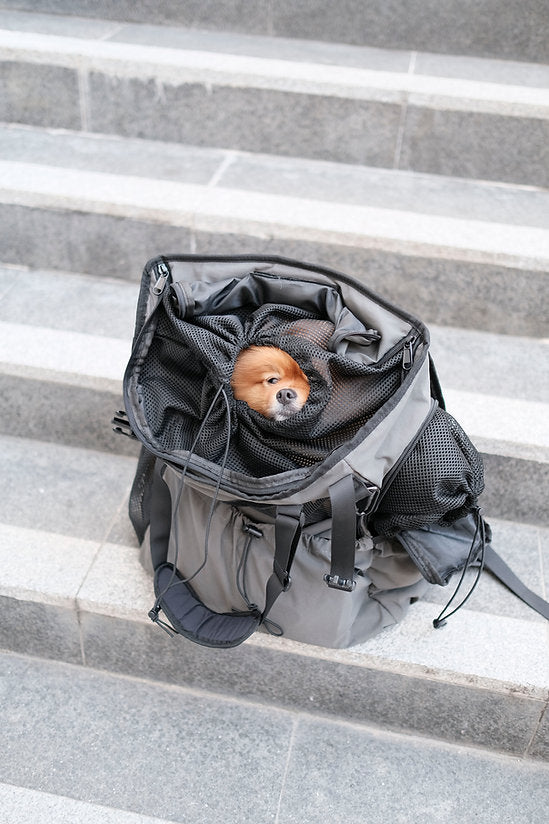 MONGSTER I Backpack