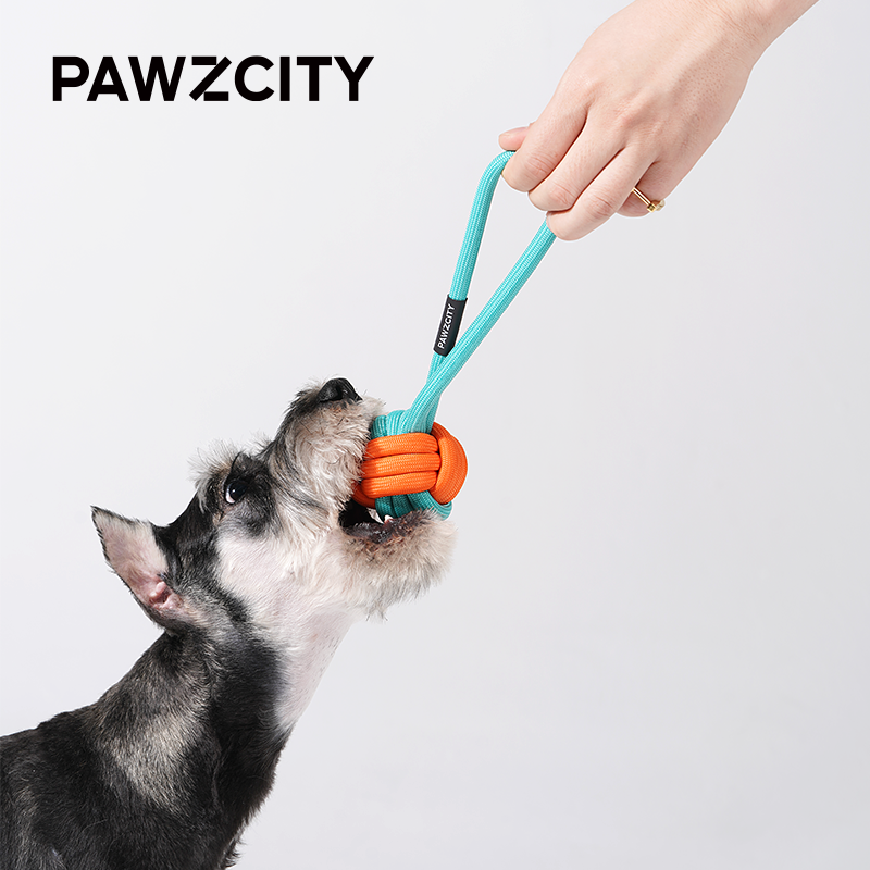 PAWZCITY 繩索球