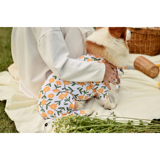DADDY DOG l Protective Spreading Suit (YELLOW FLORAL)