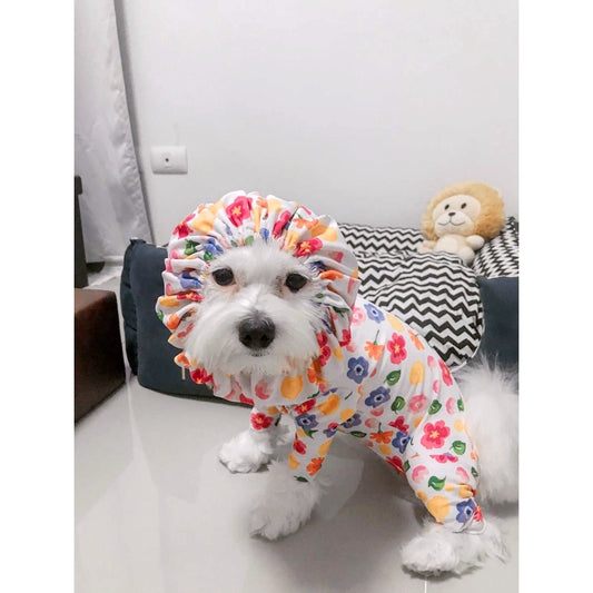 DADDY DOG l Protective Spreading Suit (SUMMER BLOOM)