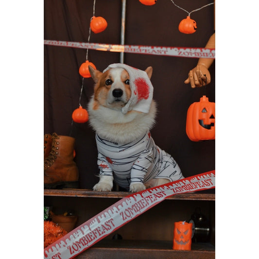DADDY DOG l Protective Spreading Suit (HALLOWEEN)
