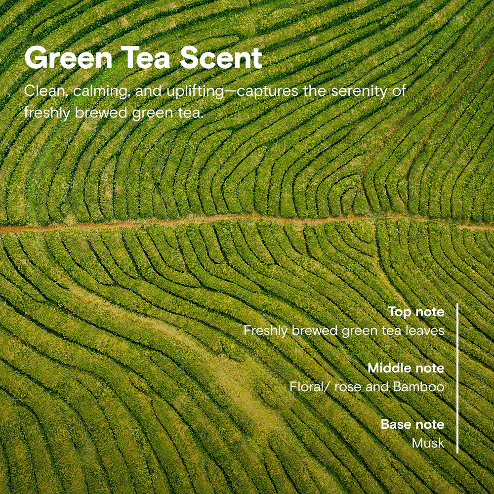 Petal 清潔套裝  (限時優惠)