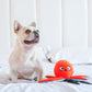 HUGSMART l Octopus《Ocean Pals》