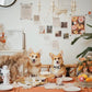 寵物家庭攝影【室內影樓】/ Pet & Fmaily photography【Indoor Studio】