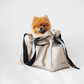 MONGSTER l Pet Carrier