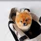MONGSTER l Pet Carrier
