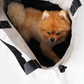 MONGSTER l Pet Carrier