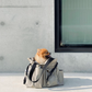 MONGSTER l Pet Carrier