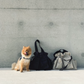 MONGSTER l Pet Carrier