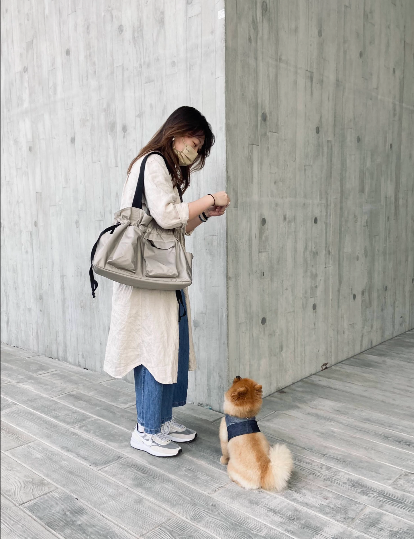 MONGSTER l Pet Carrier