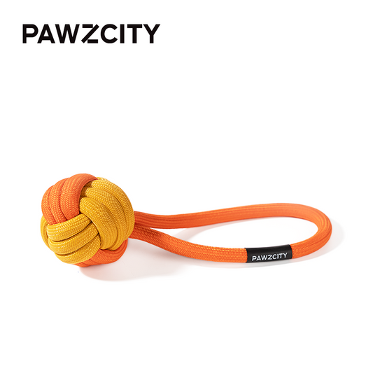 PAWZCITY 繩索球